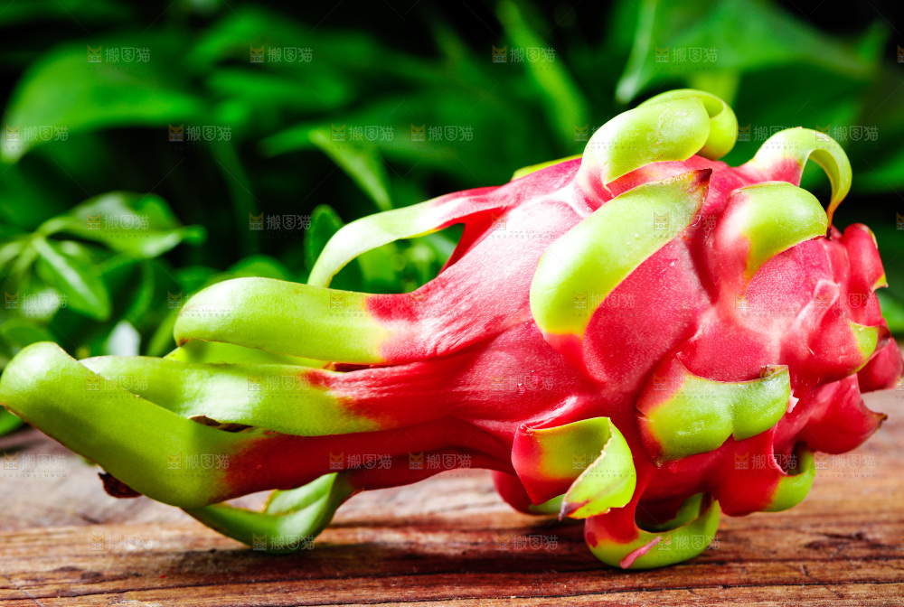 木底上放着海南红心火龙果