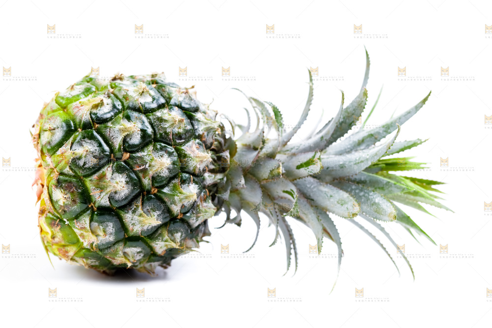 白底上的菠萝