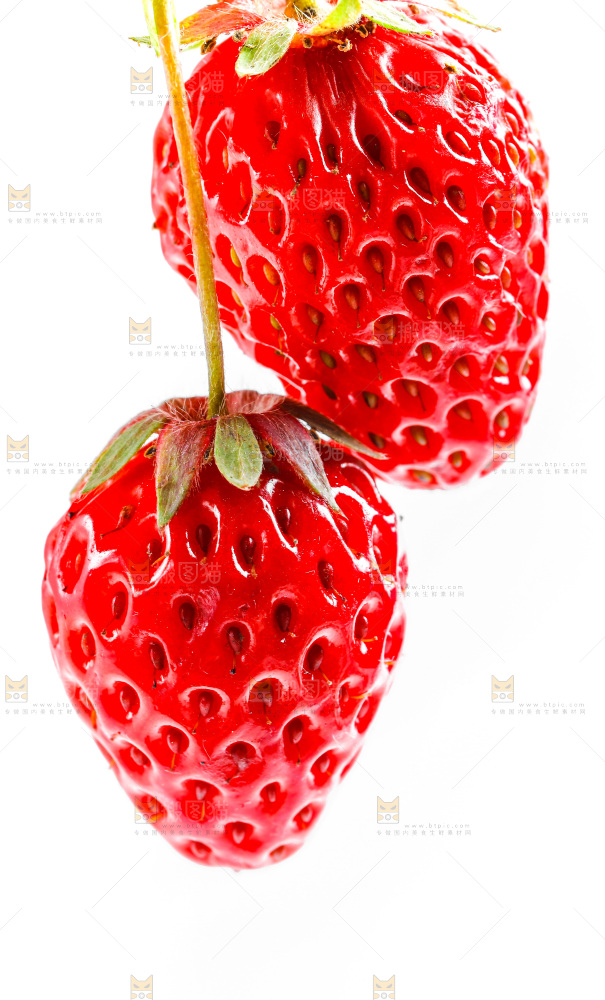 白底上的新鲜草莓
