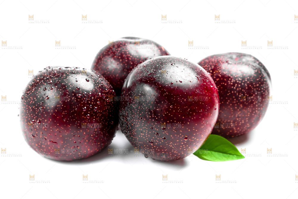 白底上的黑布林