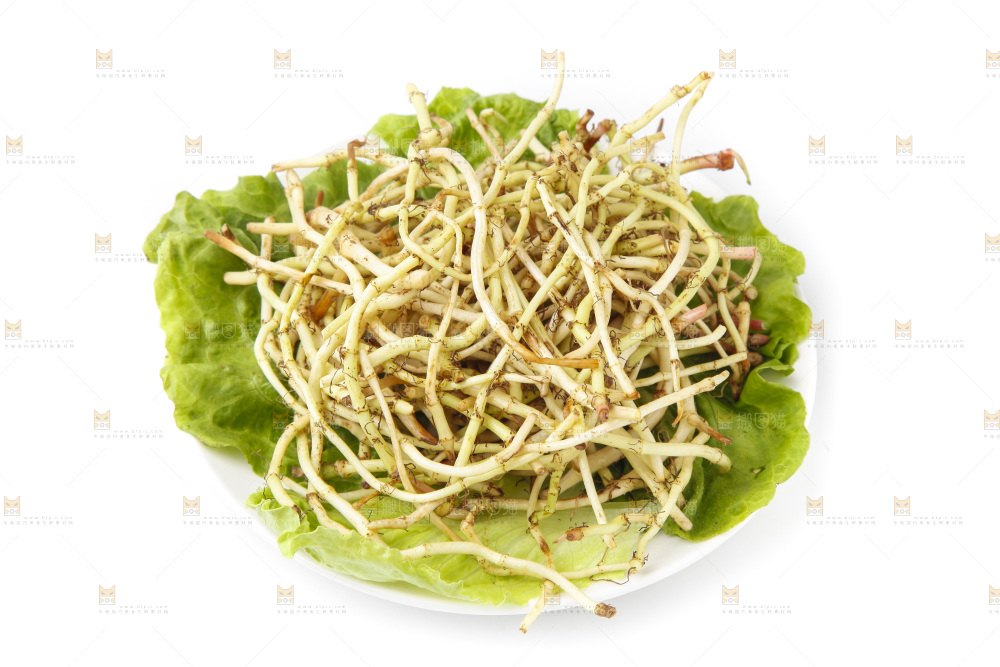 一盘凉拌鱼腥草放在白底上