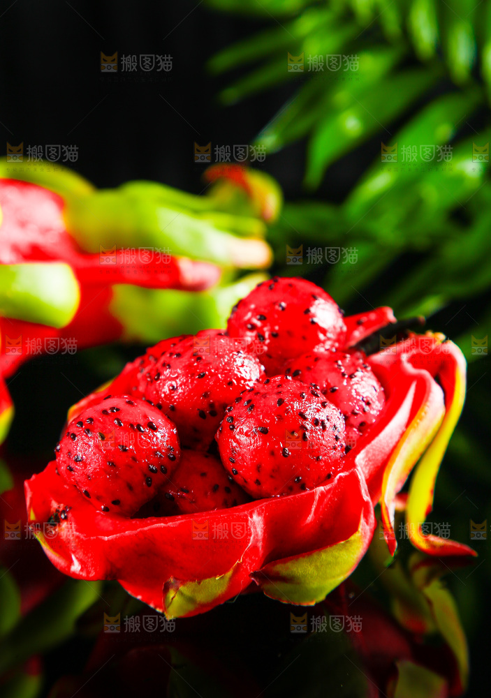 黑底上放着海南红心火龙果