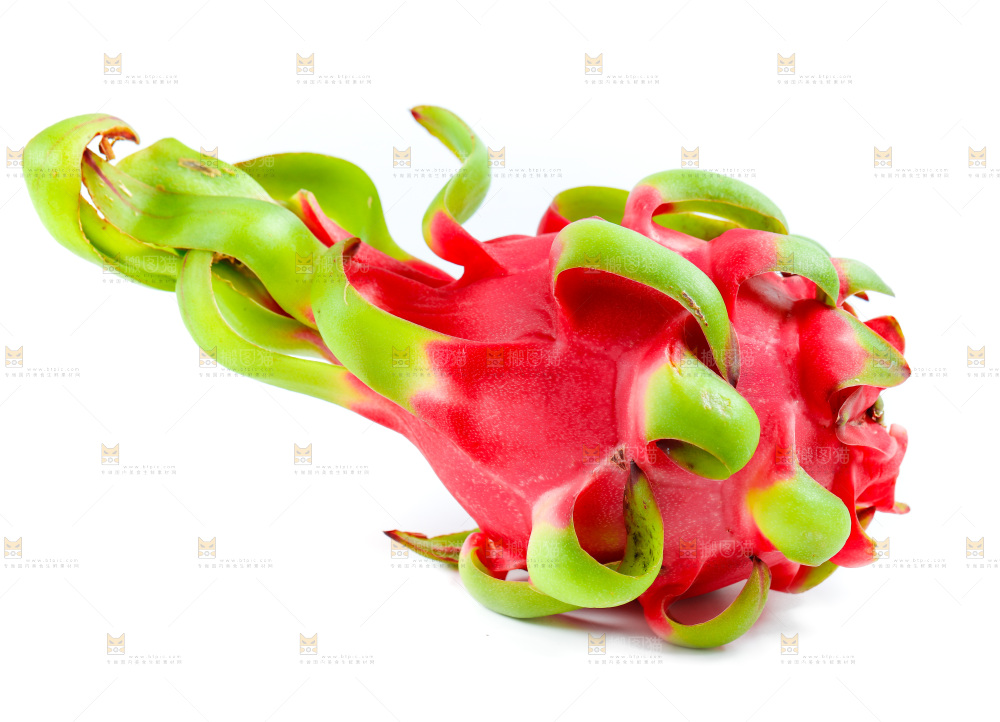 白底上的火龙果