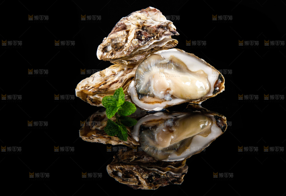 黑底上放着海蛎子