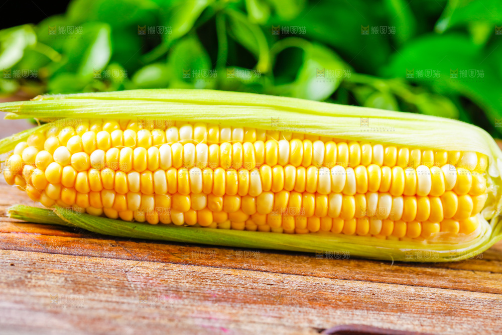木底上的新鲜玉米