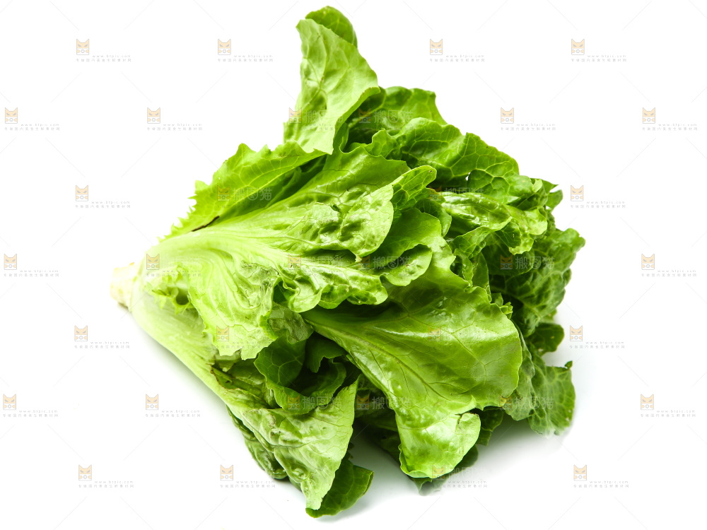 白底上的生菜