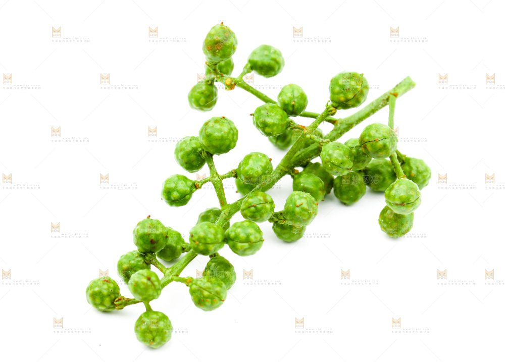 白底上的青花椒