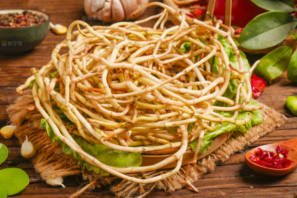 木底上的鱼腥草