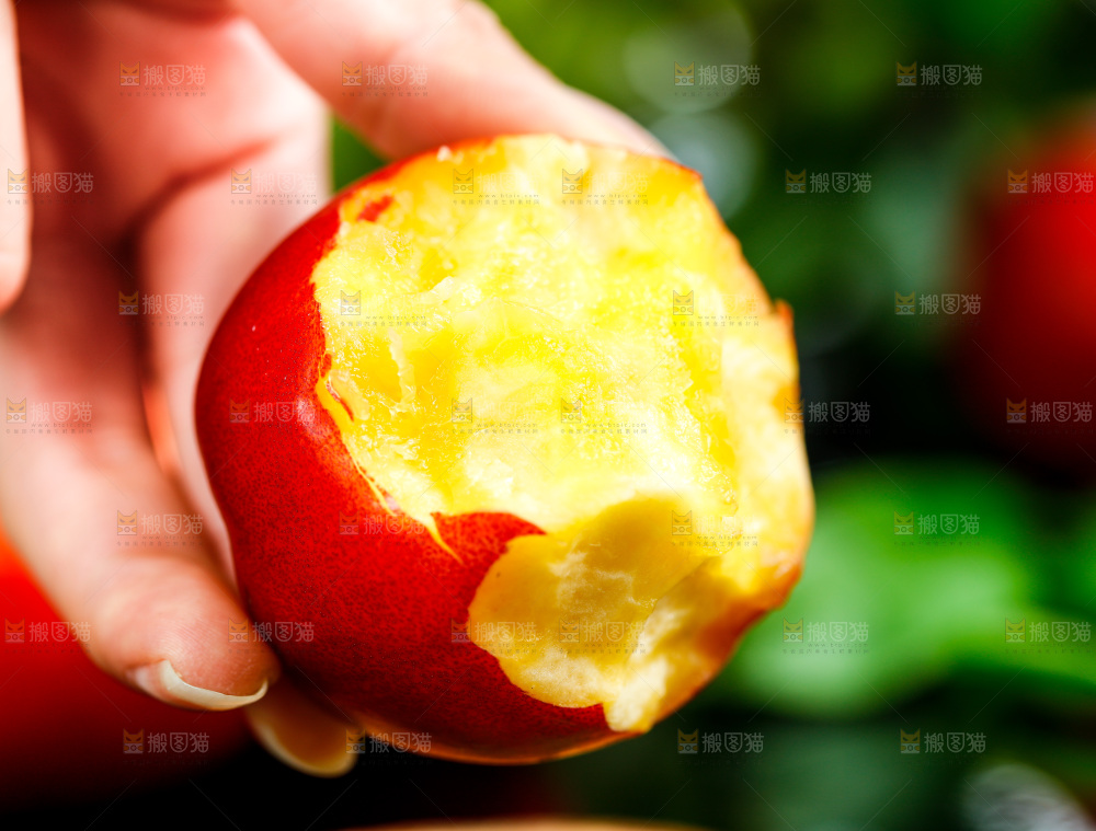 手拿黄心油桃