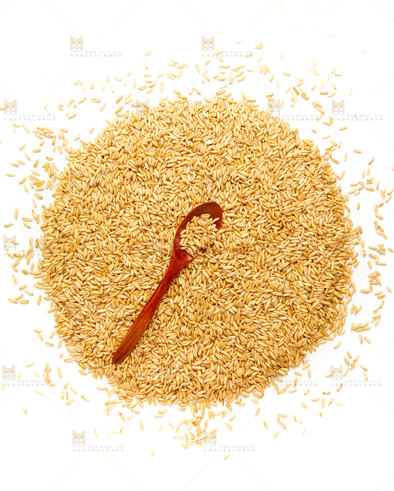 白底上的燕麦米