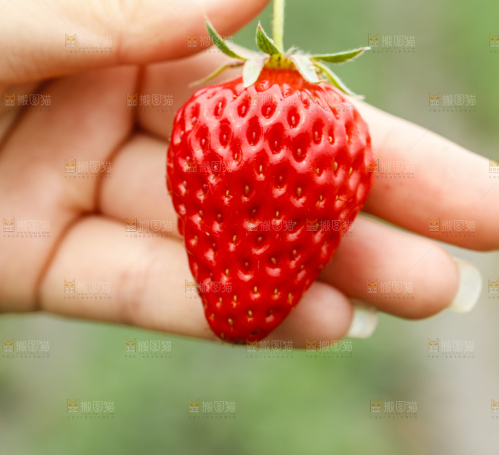 手拿草莓