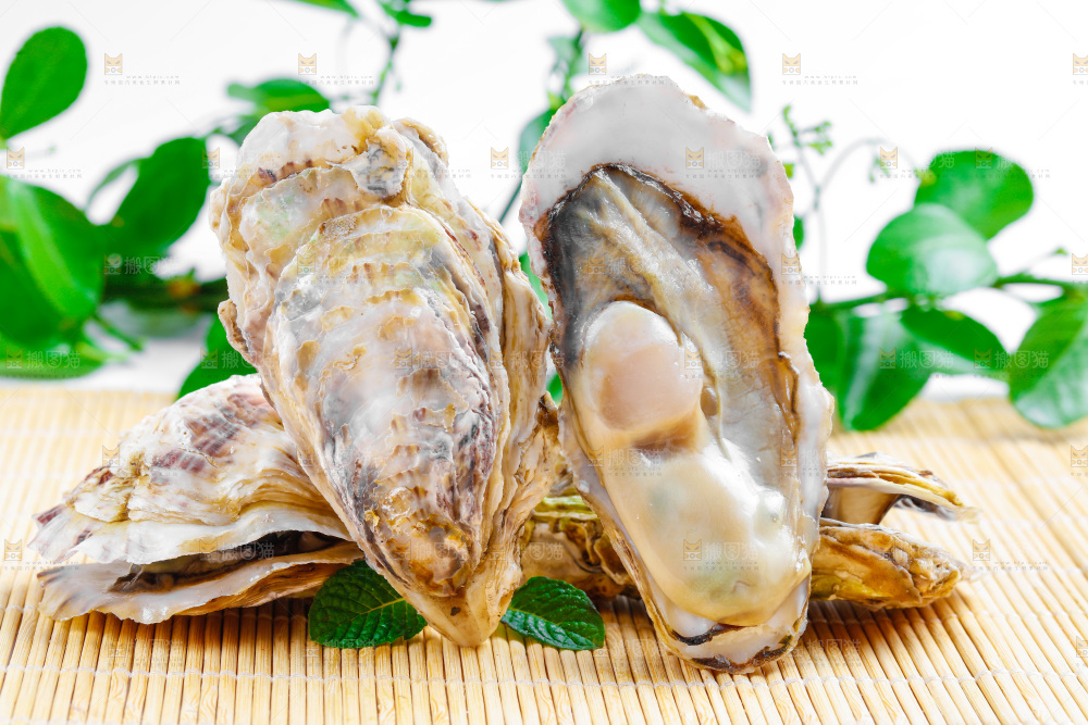 木底上放着海蛎子