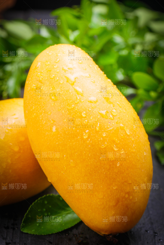 深底上的台芒