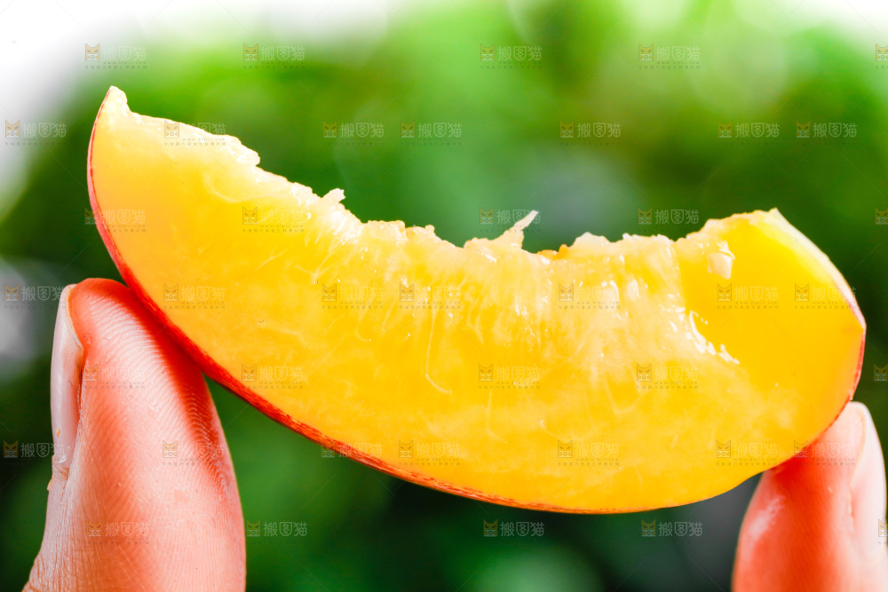 手拿黄心油桃