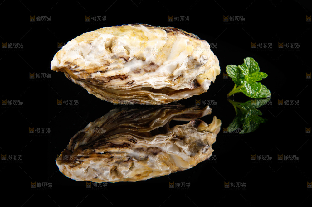 黑底上放着海蛎子