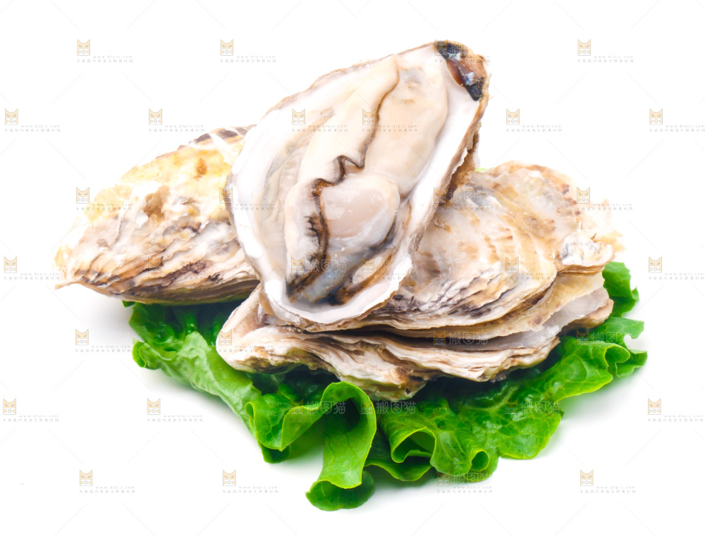 白底上放着乳山生蚝