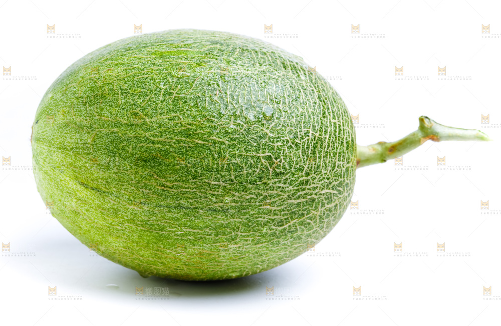 白底上的哈密瓜