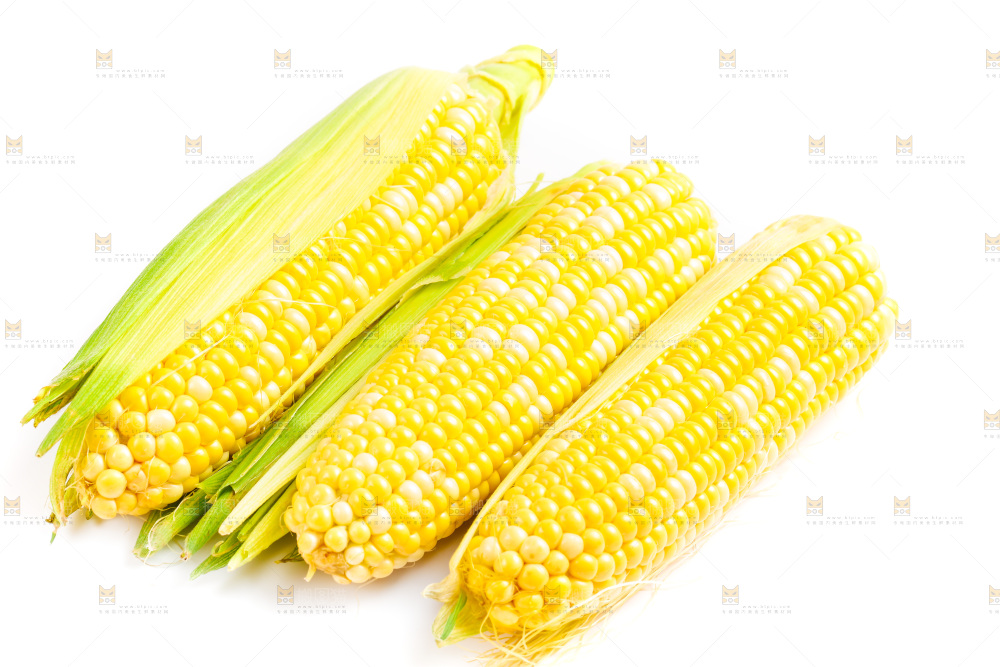 剥皮的水果玉米放在白底上