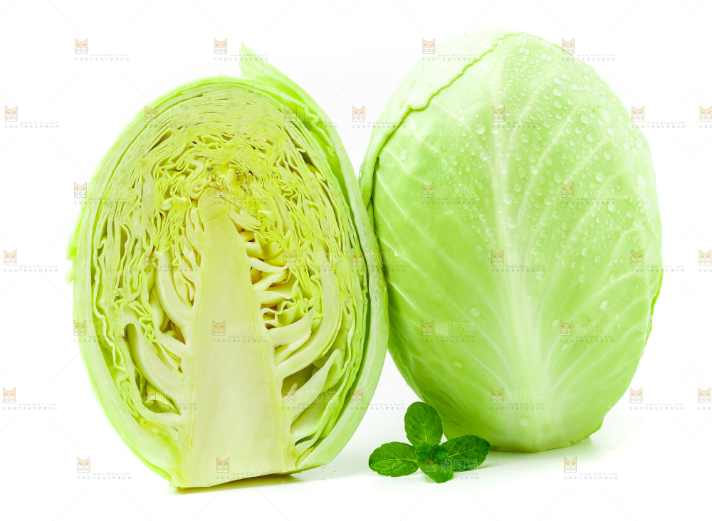 新鲜包菜放在白底上