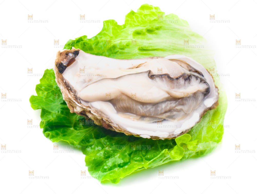 白底上放着乳山生蚝