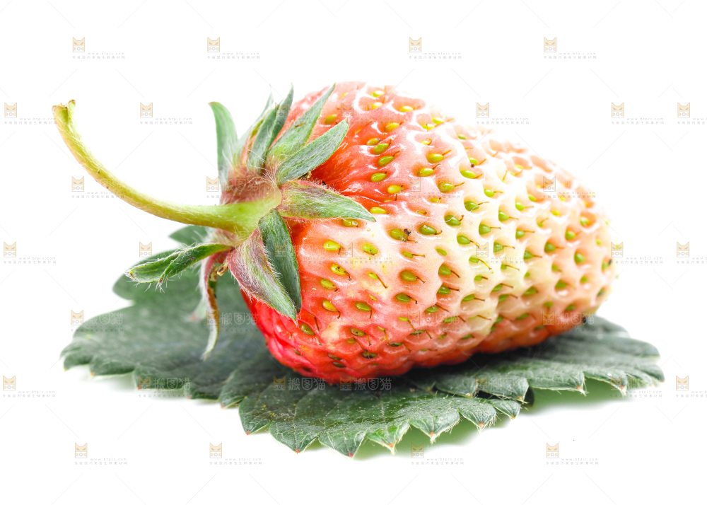 白底上的新鲜草莓