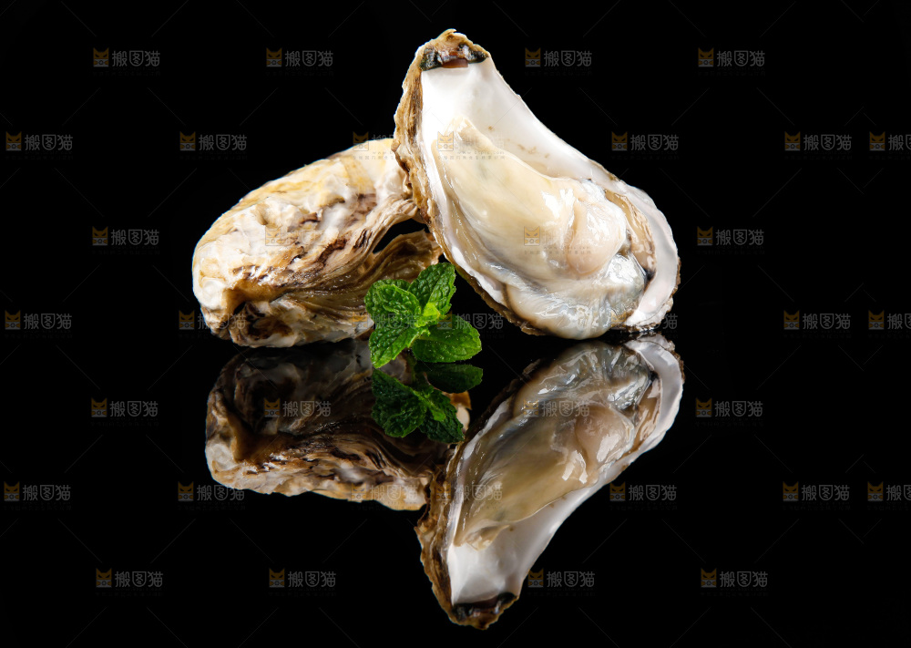 黑底上放着海蛎子