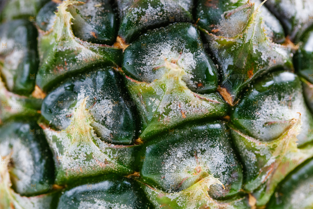白底上的菠萝