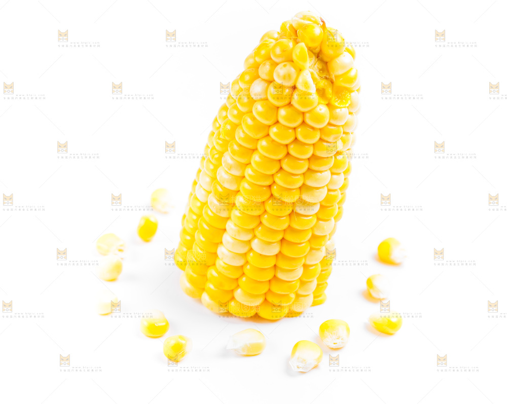 白底上的甜玉米