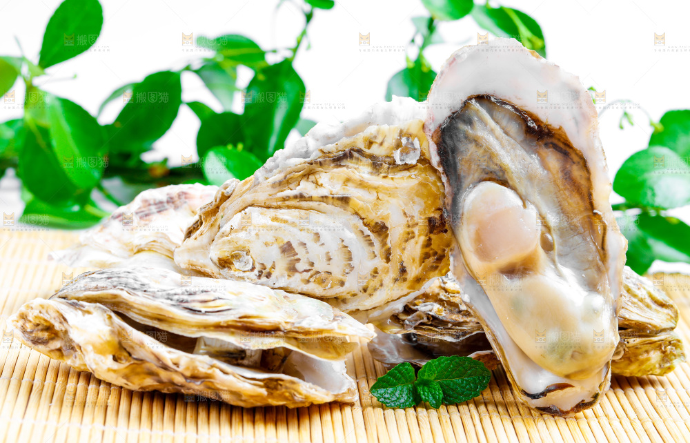 木底上放着海蛎子