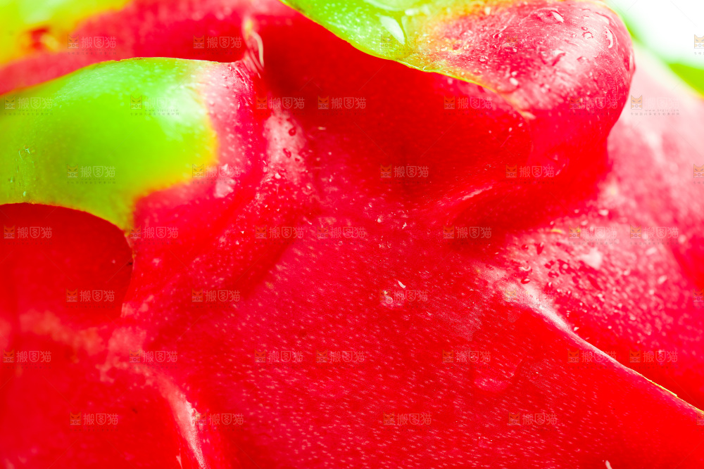 白底上的火龙果