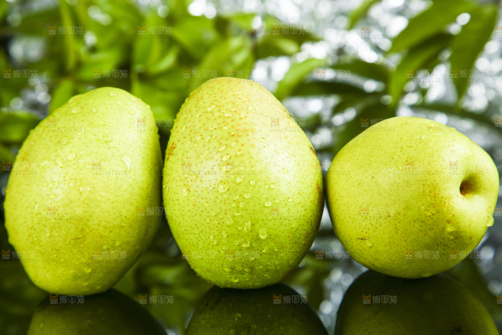 深底上的新鲜香梨