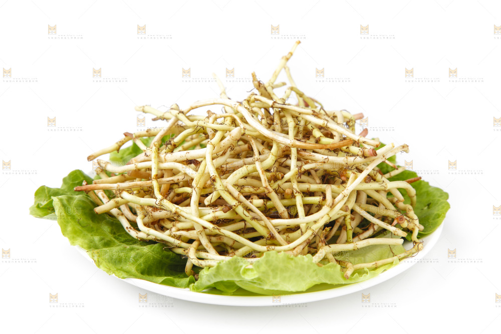 一盘凉拌鱼腥草放在白底上