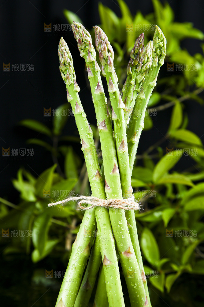 黑底上的青芦笋