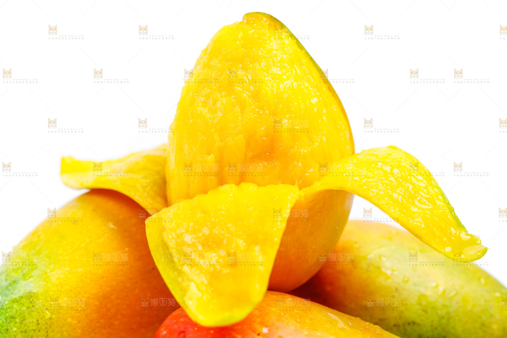 白底上放着海南贵妃芒