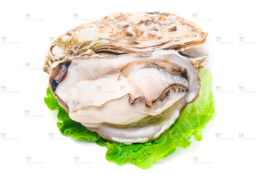 浅底上的生蚝