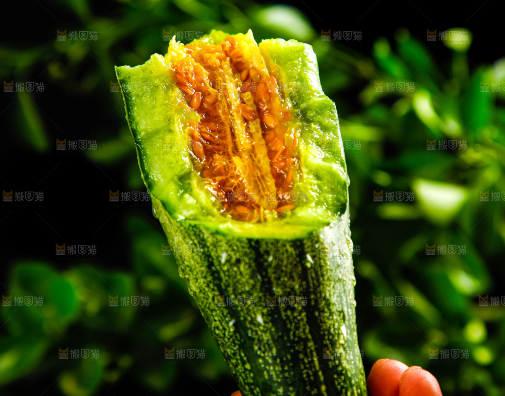 深底上放着切开的羊角蜜甜瓜