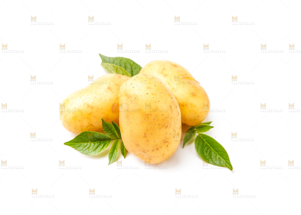 新鲜土豆放在白底上