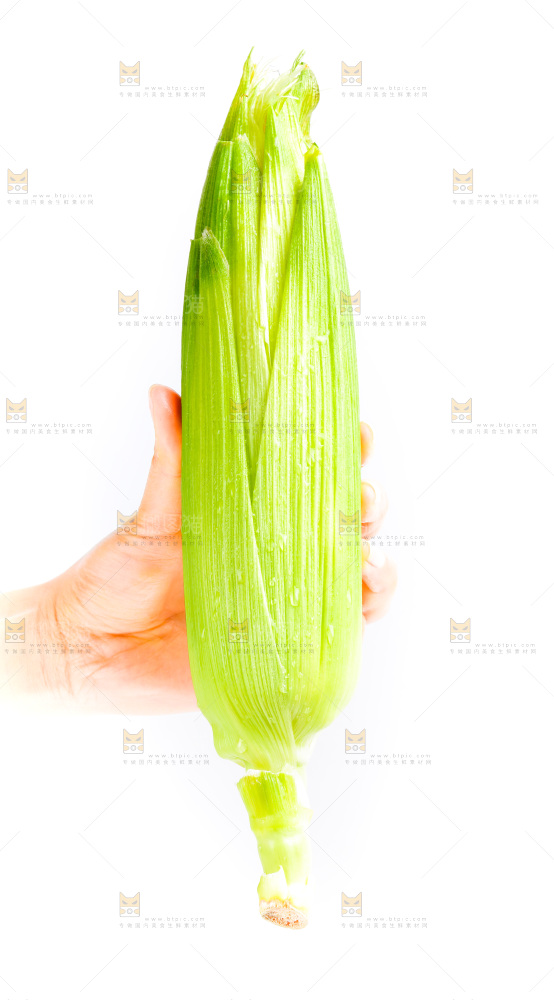 手拿新鲜玉米