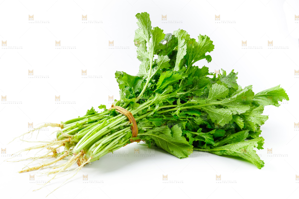 白底上的腊菜