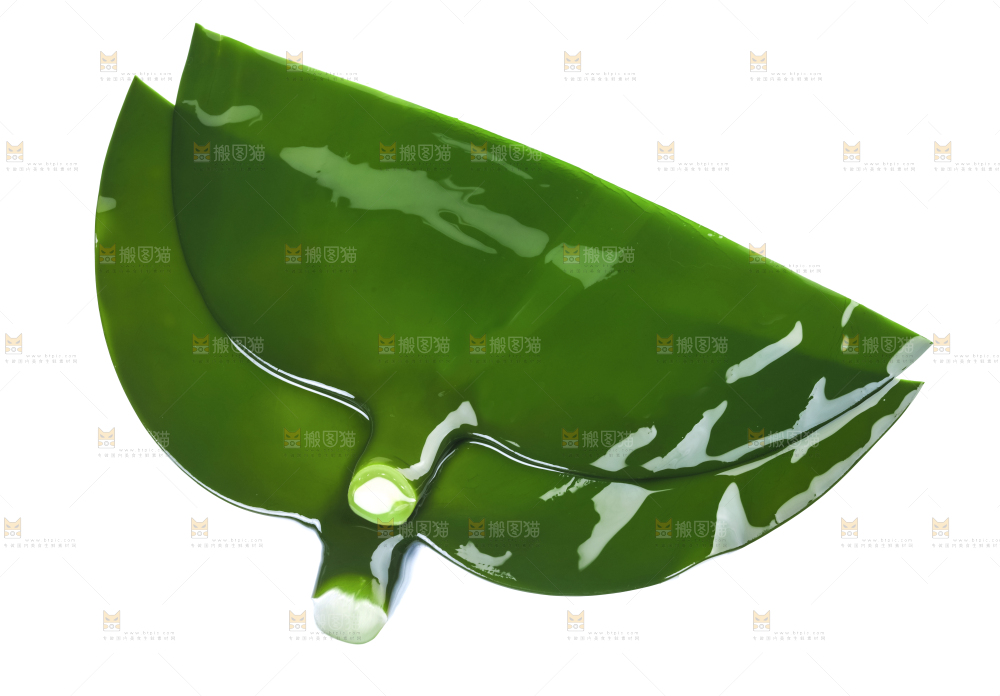 白底上摆放着海带头