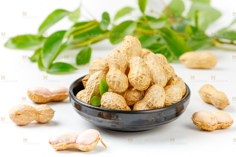 白底上盘子里的生花生
