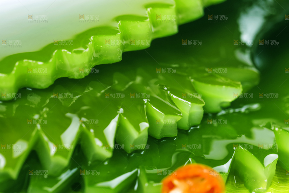 白底上摆放着海带根