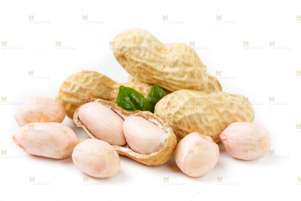 白底上的湿花生和花生米