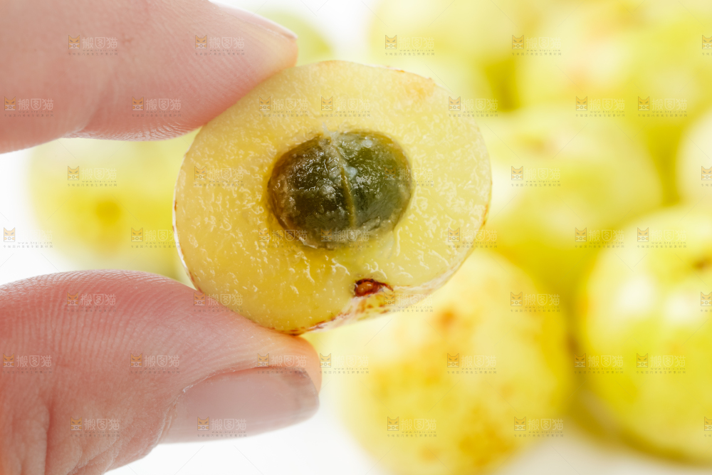 手里拿着新鲜油甘果