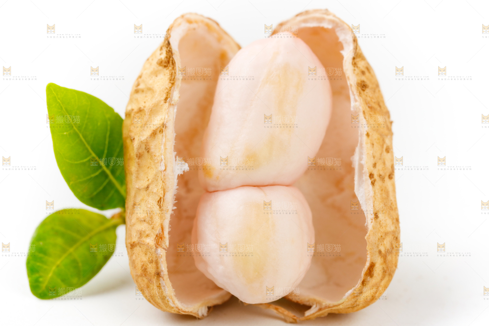 白底上的花生米