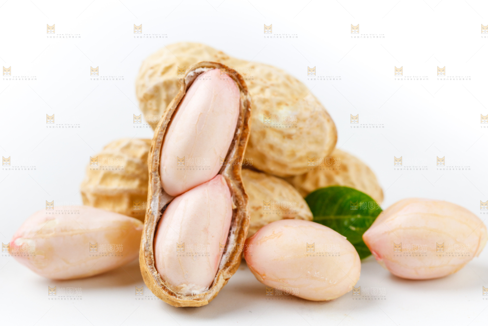 白底上的花生