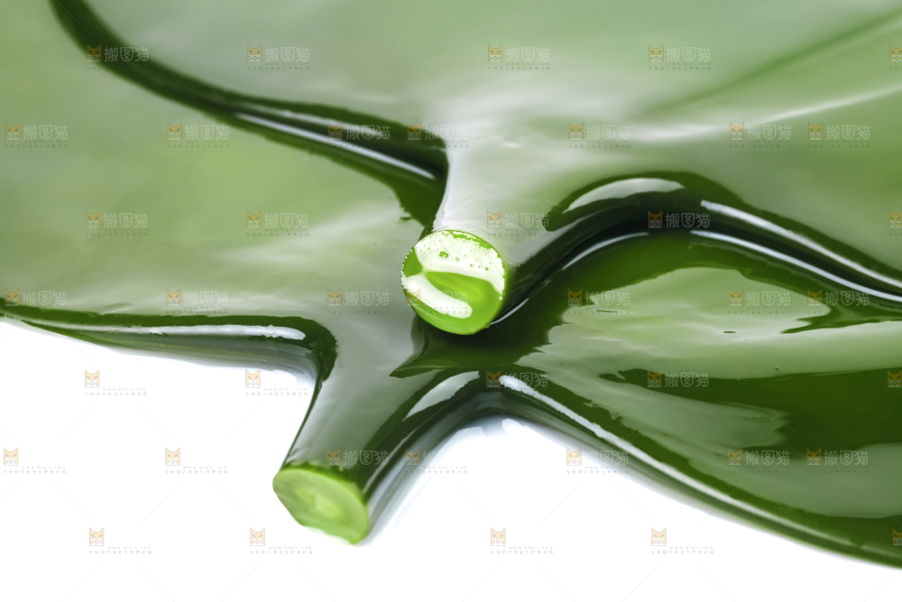 海带头