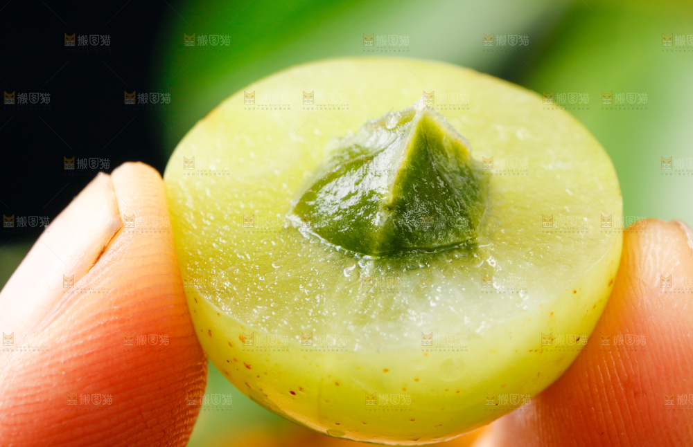 手里拿着新鲜油甘果