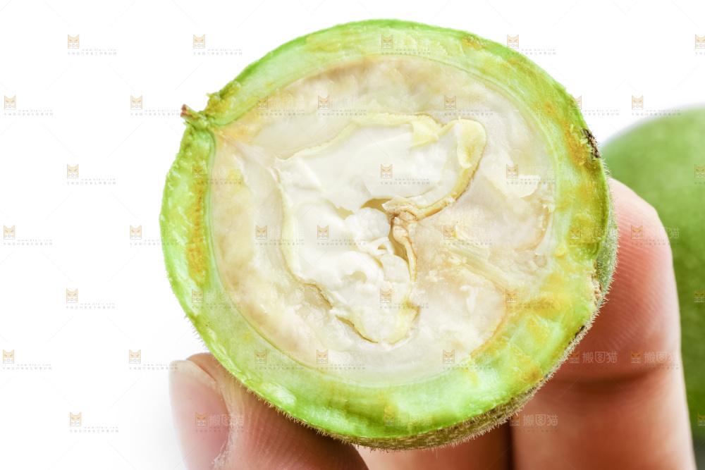 手里拿着青核桃