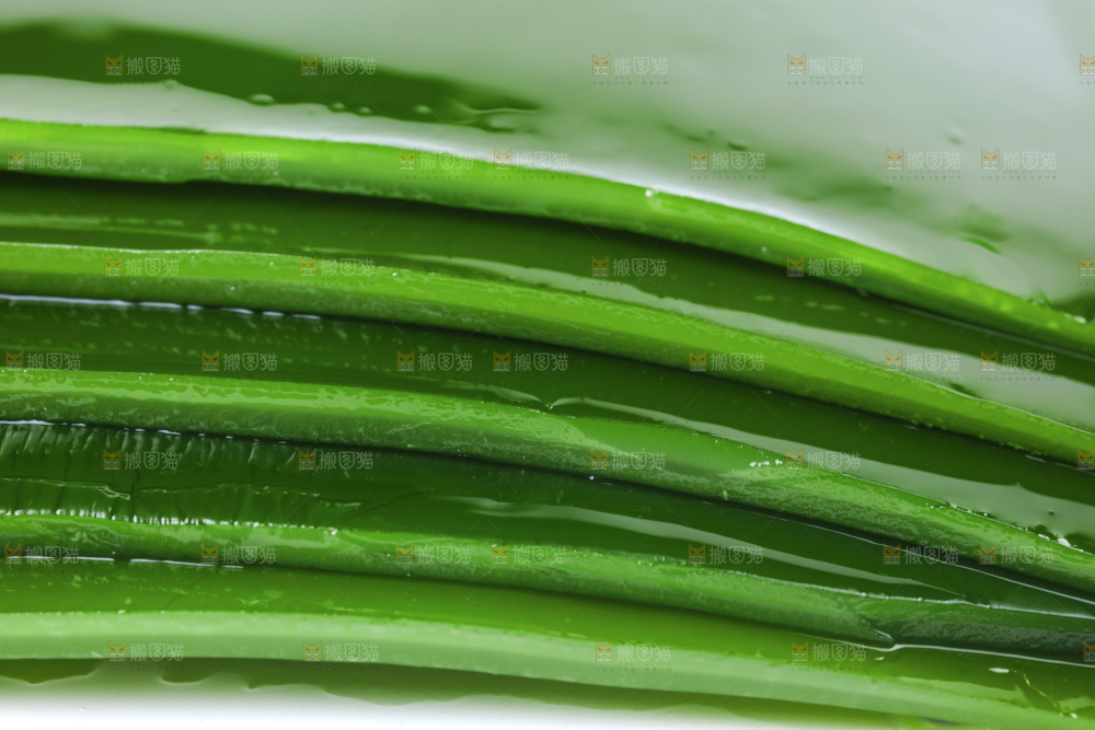 摆放着一堆的新鲜海带